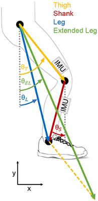 Stance and Swing Detection Based on the Angular Velocity of Lower Limb Segments During Walking